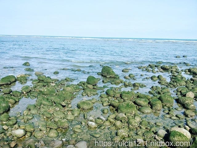濱海遊 - 第2張圖 濱海遊