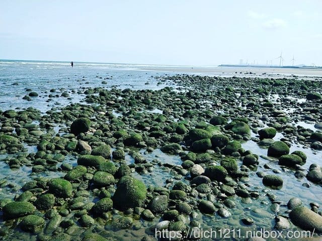 濱海遊 - 第6張圖 濱海遊