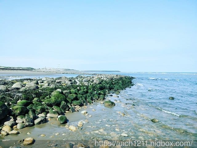 濱海遊 - 第5張圖 濱海遊
