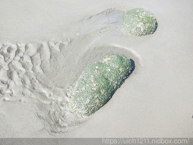濱海遊 - 第10張圖 濱海遊