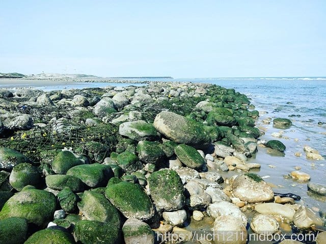 濱海遊 - 第4張圖 濱海遊
