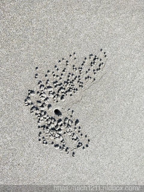 濱海遊 - 第14張圖 濱海遊