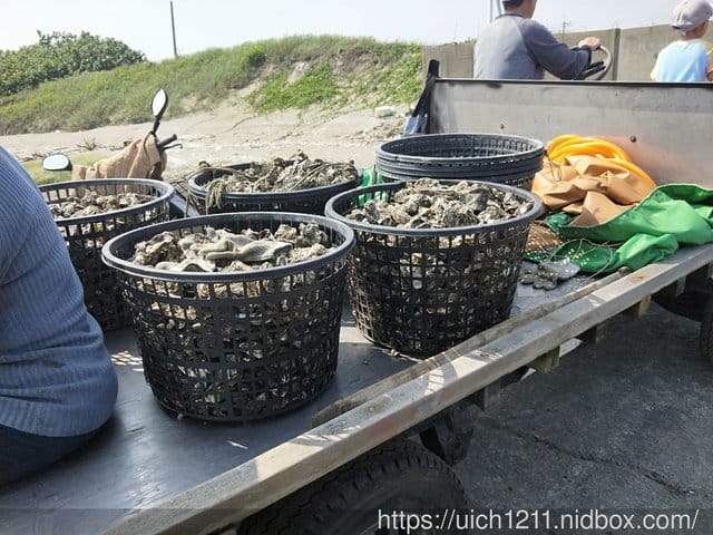 濱海遊 - 第23張圖 濱海遊