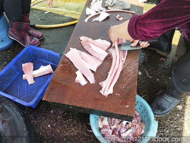 濱海遊 - 第29張圖 濱海遊