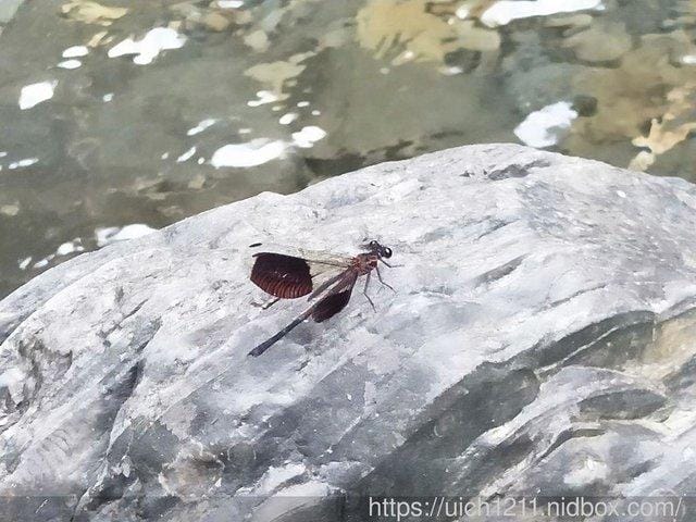 涼山瀑布