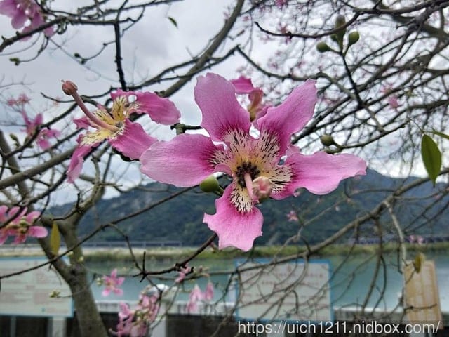 集集小鎮之旅~