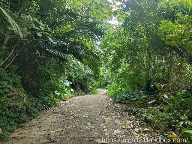 龍鳳瀑布與石龍宮 - 第3張圖 龍鳳瀑布與石龍宮
