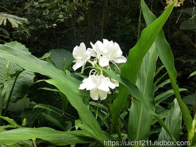 龍鳳瀑布與石龍宮 - 第4張圖 龍鳳瀑布與石龍宮