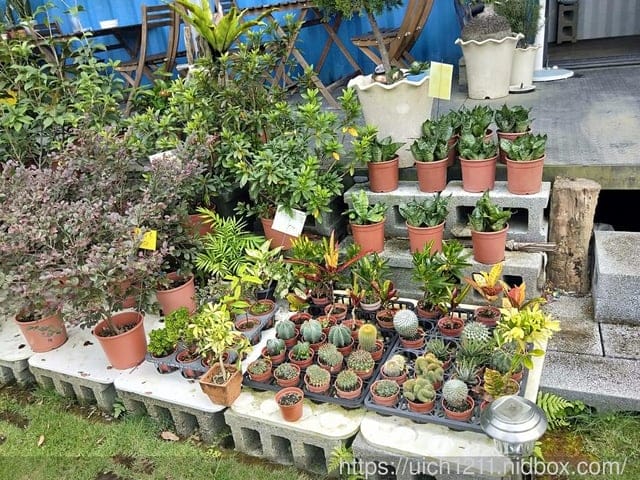 龍鳳瀑布與石龍宮 - 第45張圖 龍鳳瀑布與石龍宮
