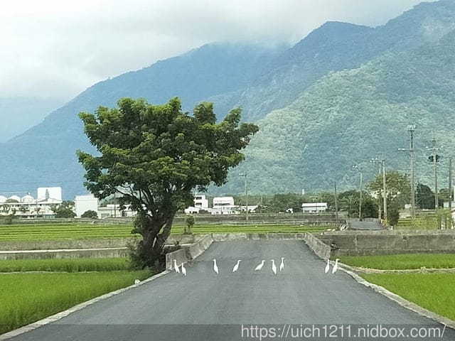 台東197縣道藝術節 - 第36張圖 台東197縣道藝術節