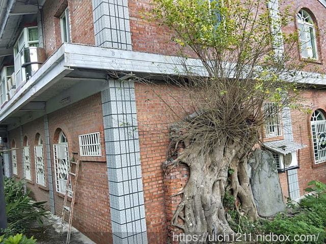 台東197縣道藝術節 - 第24張圖 台東197縣道藝術節