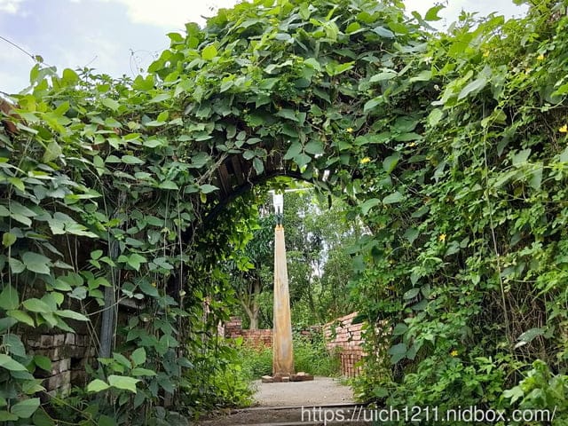 台東197縣道藝術節 - 第26張圖 台東197縣道藝術節