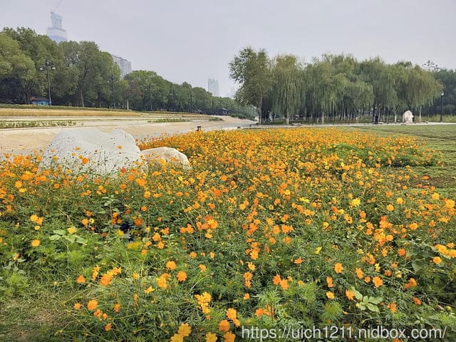 武漢軍運會之旅