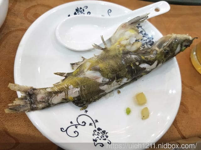 武漢軍運會之旅