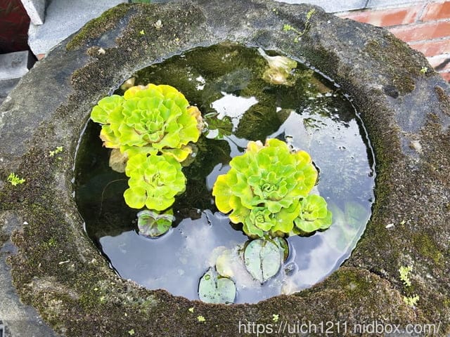 石頭廟 - 第20張圖 石頭廟