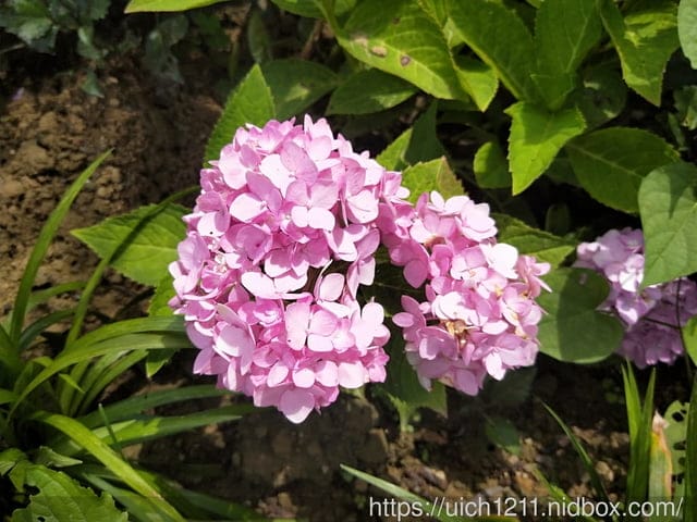 哈比丘莊園 - 第10張圖 哈比丘莊園