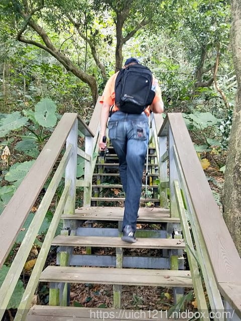 雞冠山