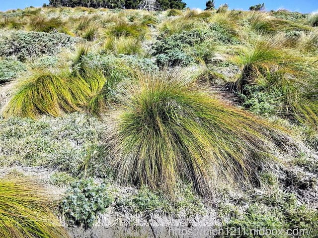 南一段回憶