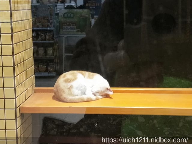 南迴路跑