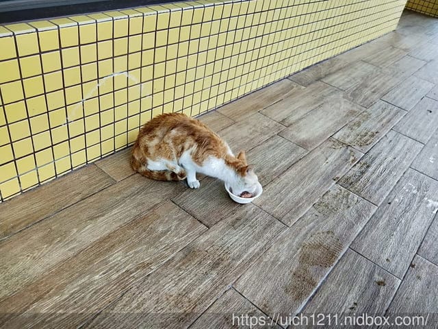 南迴路跑