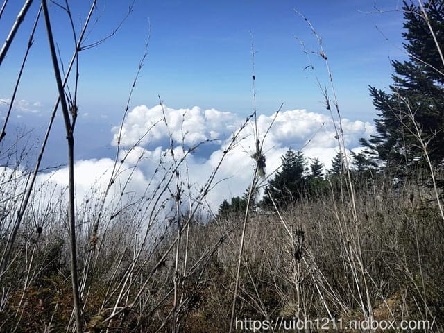 干卓萬 - 第66張圖 干卓萬