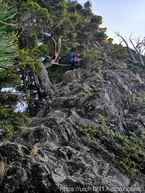 干卓萬 - 第25張圖 干卓萬