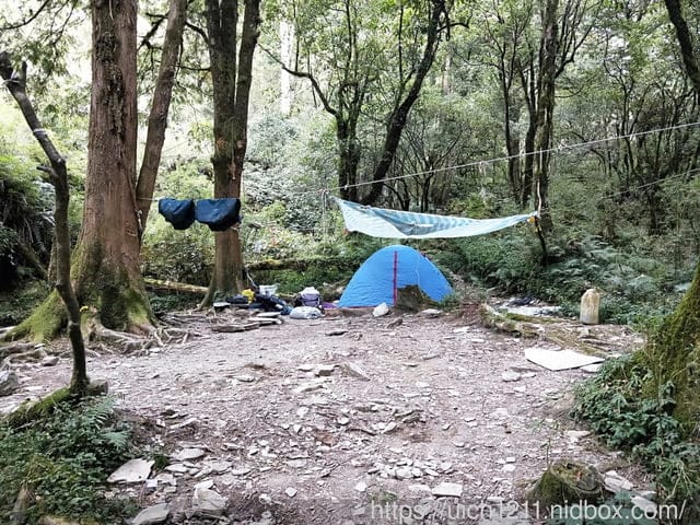 干卓萬 - 第4張圖 干卓萬
