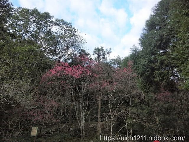 八仙山