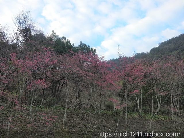 八仙山
