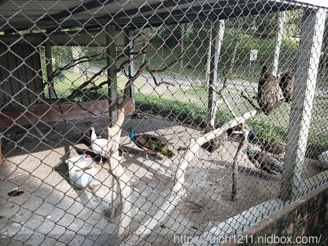 南園人文客棧 - 第74張圖 南園人文客棧