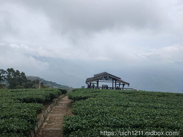 太平五連峰 - 第22張圖 太平五連峰
