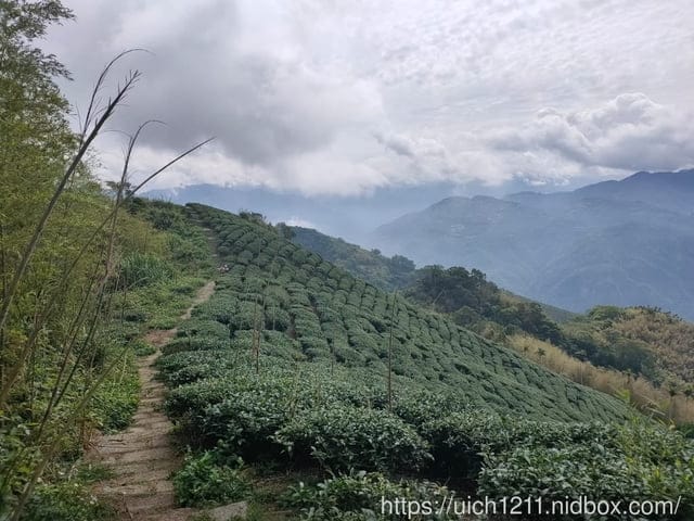 太平五連峰 - 第14張圖 太平五連峰