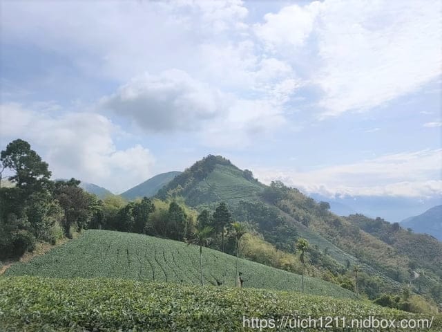 太平五連峰 - 第6張圖 太平五連峰