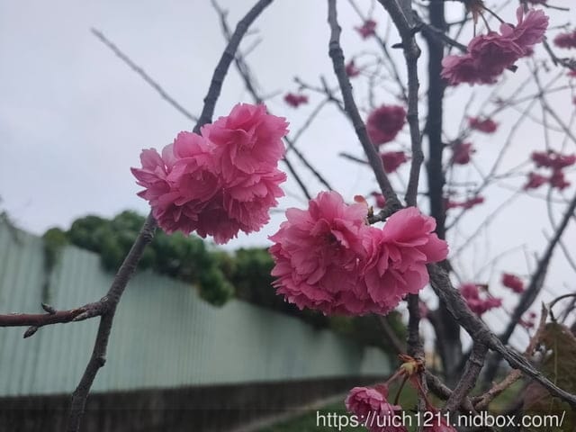 Overture序曲 - 第22張圖 Overture序曲