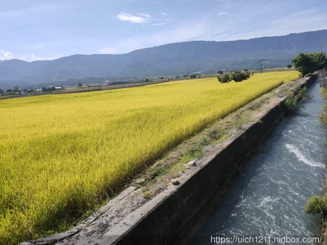 台東之旅 - 第32張圖 台東之旅