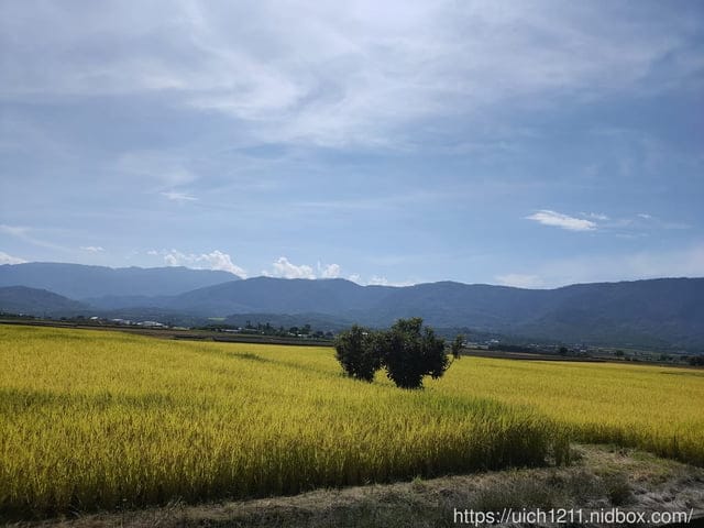 台東之旅 - 第33張圖 台東之旅