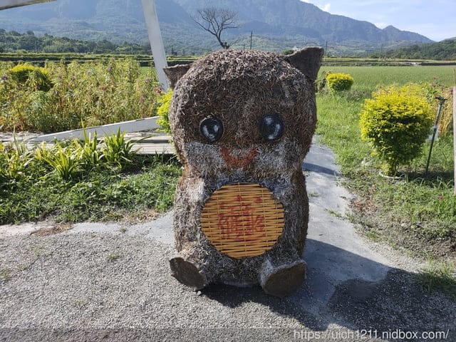 台東之旅 - 第28張圖 台東之旅