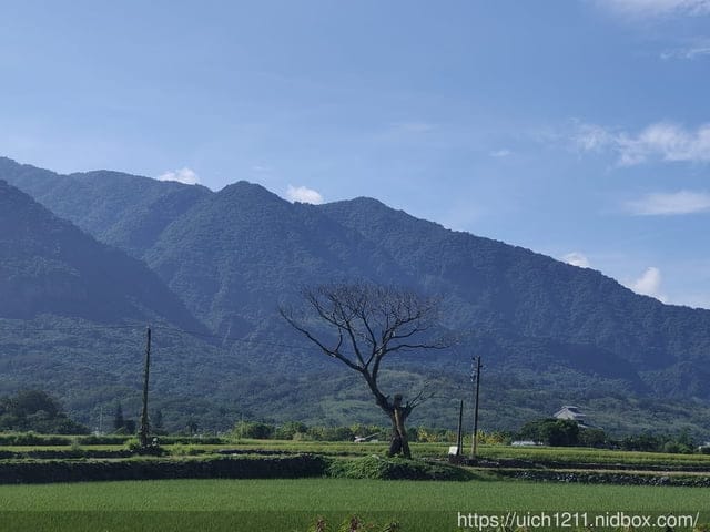 台東之旅 - 第30張圖 台東之旅