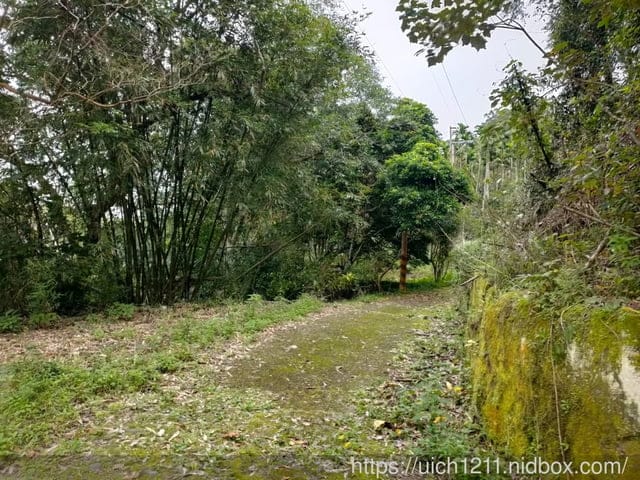 寶華山的鄉間小路