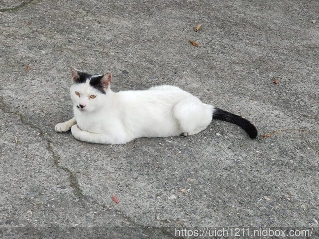 寶華山的鄉間小路