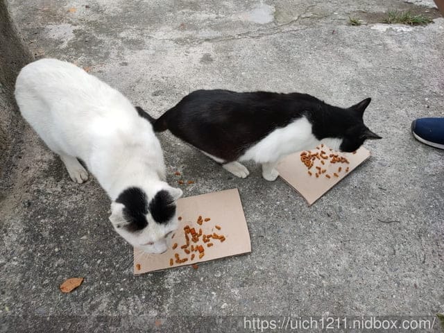 寶華山的鄉間小路