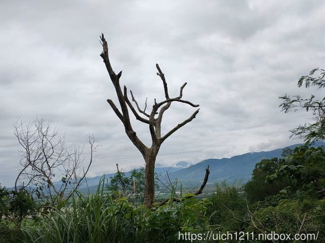 寶華山的鄉間小路