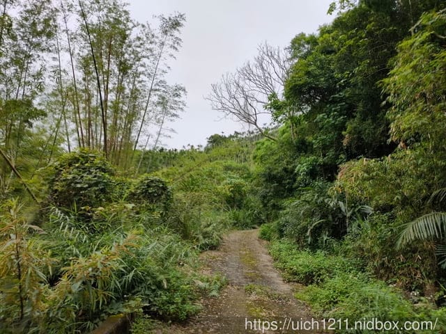 寶華山的鄉間小路