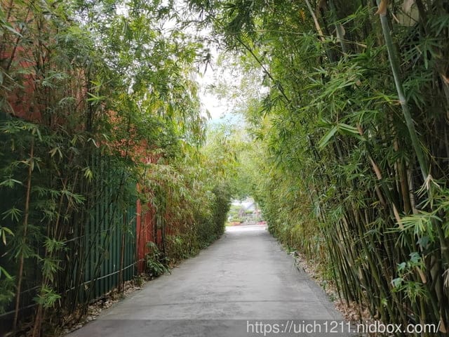 寶來之旅 - 第6張圖 寶來之旅