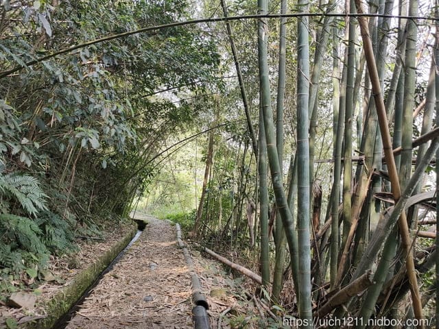 雙龍部落 - 第10張圖 雙龍部落