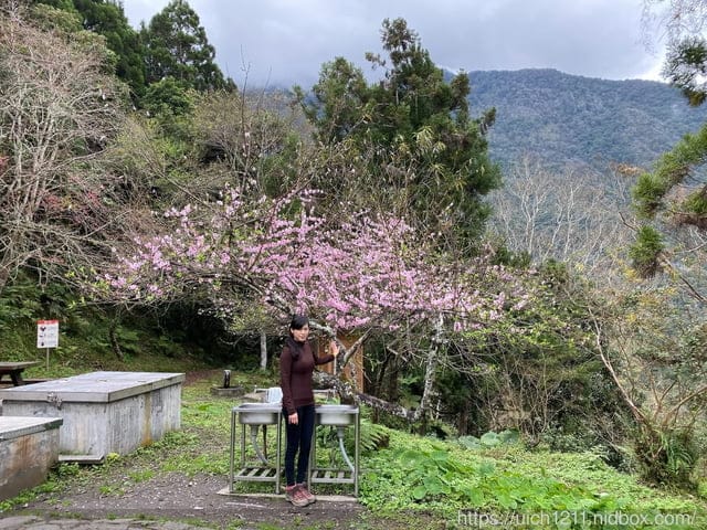 瓦拉米步道 - 第52張圖 瓦拉米步道