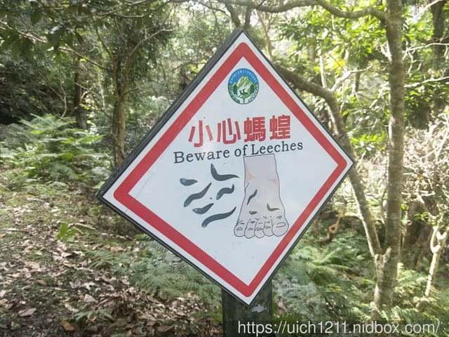 瓦拉米步道 - 第33張圖 瓦拉米步道