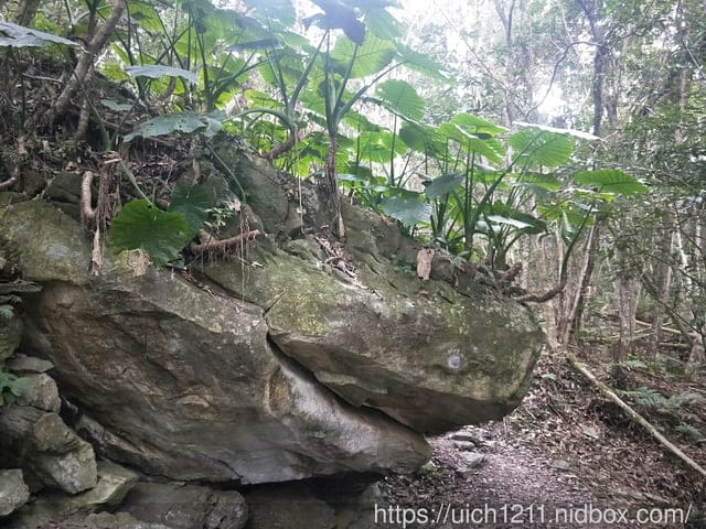 瓦拉米步道 - 第54張圖 瓦拉米步道