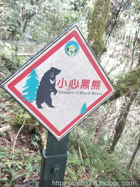 瓦拉米步道 - 第38張圖 瓦拉米步道