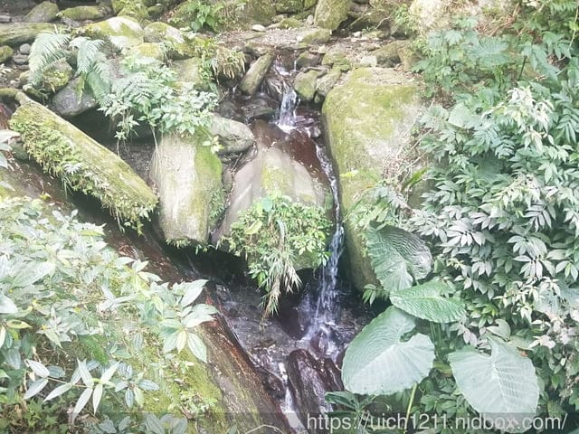 瓦拉米步道 - 第20張圖 瓦拉米步道